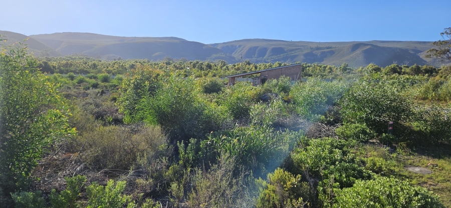 0 Bedroom Property for Sale in Franskraal Western Cape